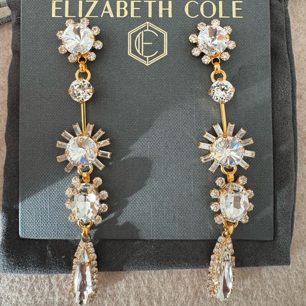 Elizabeth Cole Astraea Earrings Dangle Earrings